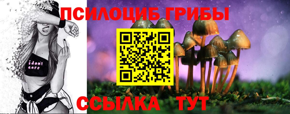 Псилоцибиновые грибы GOLDEN TEACHER  Вход с VPN  Корсаков 